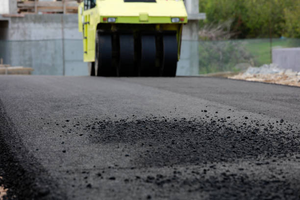 Best Custom Driveway Pavers  in Warm Springs, CA